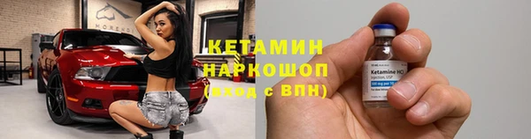 шишки Аркадак