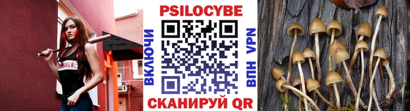 Псилоцибиновые грибы мухоморы kraken онион площадка формула Пустошка